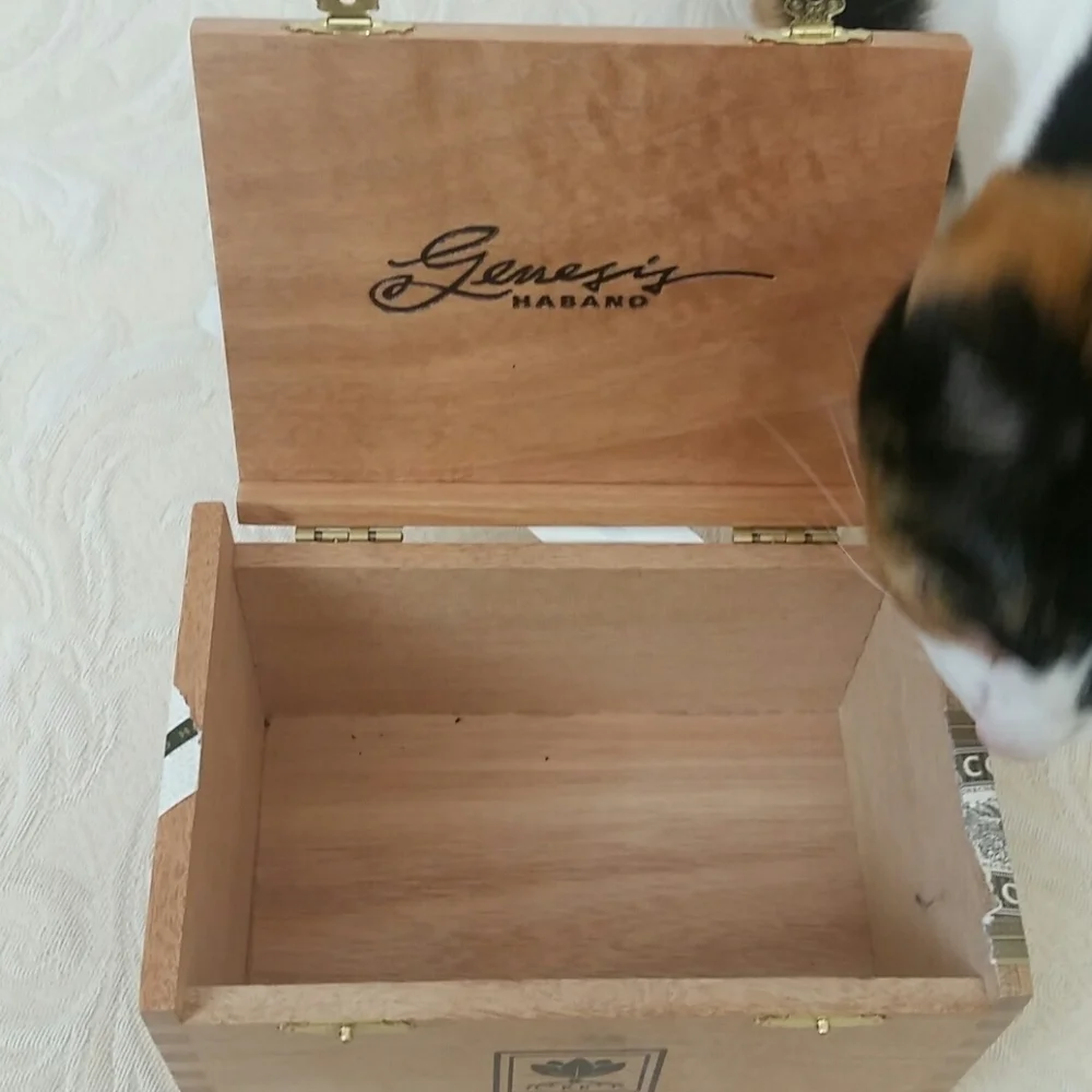 Genesis graphic wooden cigar box hinged latched